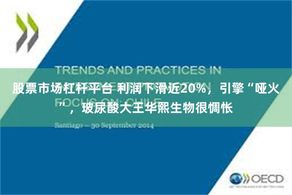 股票市场杠杆平台 利润下滑近20%，引擎“哑火”，玻尿酸大王华熙生物很惆怅