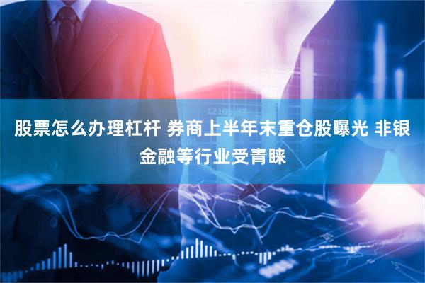 股票怎么办理杠杆 券商上半年末重仓股曝光 非银金融等行业受青睐