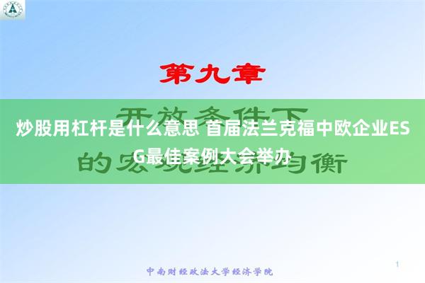 炒股用杠杆是什么意思 首届法兰克福中欧企业ESG最佳案例大会举办