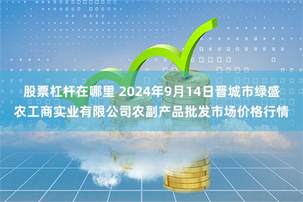 股票杠杆在哪里 2024年9月14日晋城市绿盛农工商实业有限公司农副产品批发市场价格行情