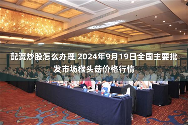 配资炒股怎么办理 2024年9月19日全国主要批发市场猴头菇价格行情