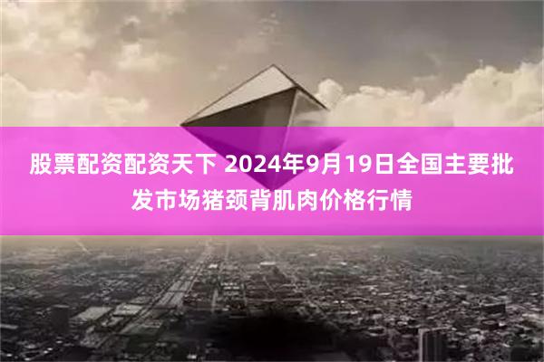 股票配资配资天下 2024年9月19日全国主要批发市场猪颈背肌肉价格行情