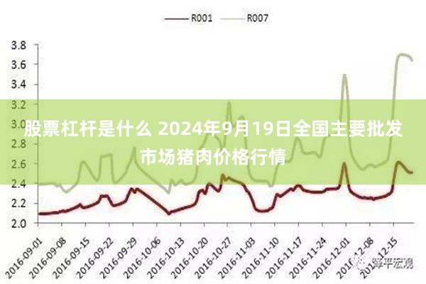 股票杠杆是什么 2024年9月19日全国主要批发市场猪肉价格行情