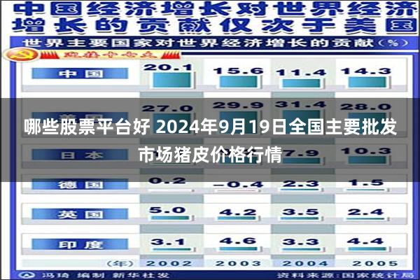 哪些股票平台好 2024年9月19日全国主要批发市场猪皮价格行情