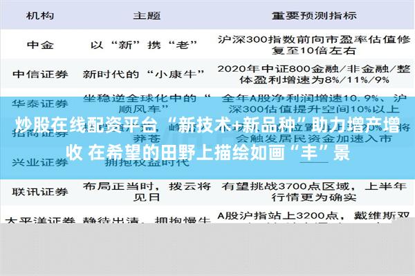 炒股在线配资平台 “新技术+新品种”助力增产增收 在希望的田野上描绘如画“丰”景