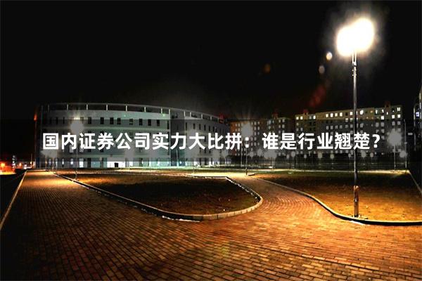 国内证券公司实力大比拼：谁是行业翘楚？