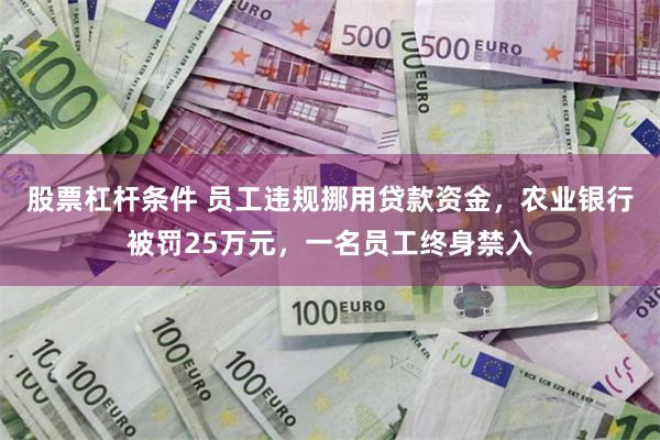 股票杠杆条件 员工违规挪用贷款资金，农业银行被罚25万元，一名员工终身禁入