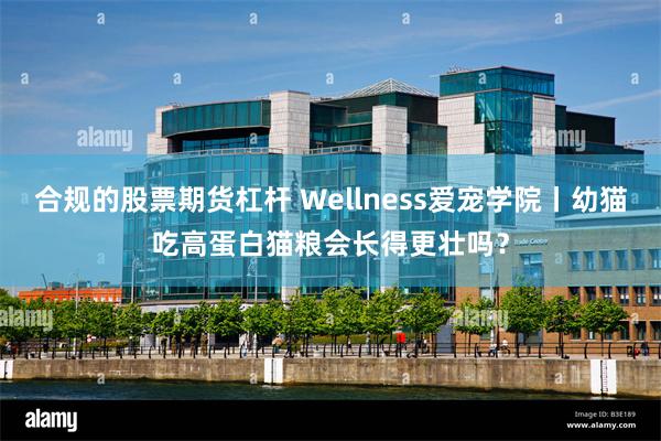 合规的股票期货杠杆 Wellness爱宠学院丨幼猫吃高蛋白猫粮会长得更壮吗？