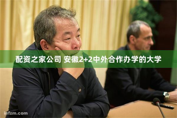 配资之家公司 安徽2+2中外合作办学的大学