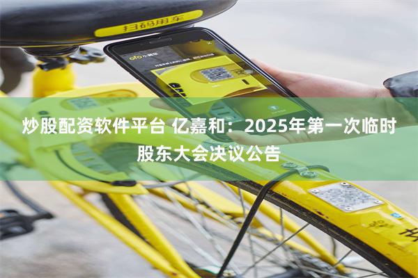 炒股配资软件平台 亿嘉和：2025年第一次临时股东大会决议公告