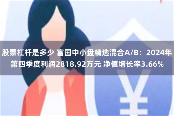 股票杠杆是多少 富国中小盘精选混合A/B：2024年第四季度利润2818.92万元 净值增长率3.66%