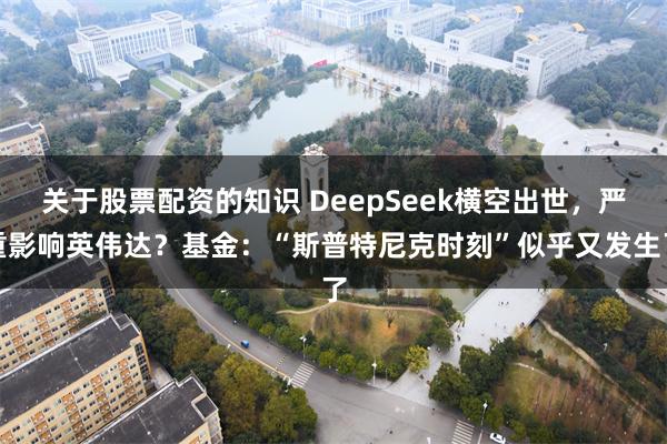 关于股票配资的知识 DeepSeek横空出世，严重影响英伟达？基金：“斯普特尼克时刻”似乎又发生了