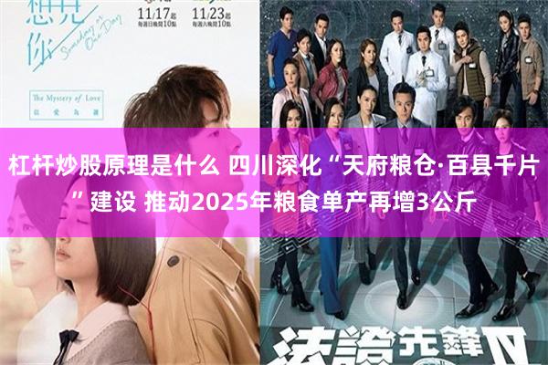 杠杆炒股原理是什么 四川深化“天府粮仓·百县千片”建设 推动2025年粮食单产再增3公斤
