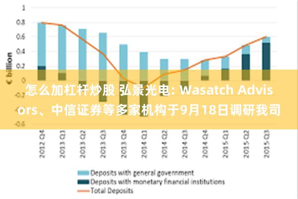 怎么加杠杆炒股 弘景光电: Wasatch Advisors、中信证券等多家机构于9月18日调研我司