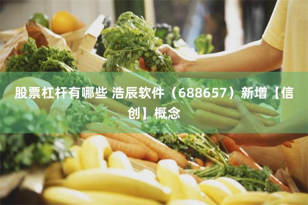 股票杠杆有哪些 浩辰软件（688657）新增【信创】概念