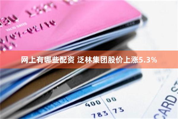 网上有哪些配资 泛林集团股价上涨5.3%