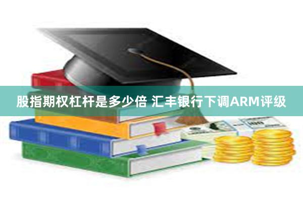 股指期权杠杆是多少倍 汇丰银行下调ARM评级